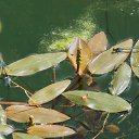 9.06.2017 �� ������� �� ��� - ��������!!!)))�