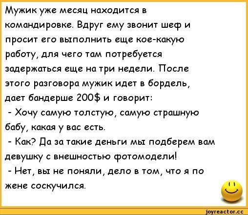 Жена в командировке. Анекдоты про мужа из командировки. Анекдот про командировку. Анекдот про мужа в командировке. Муж в командировке приколы.