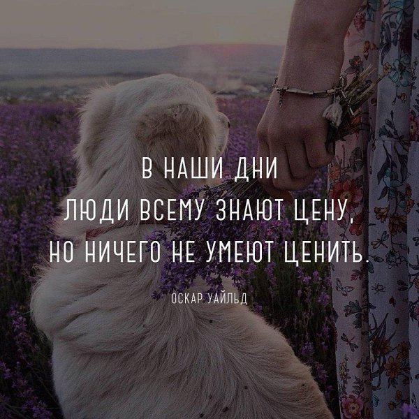   - 14  2017  11:16