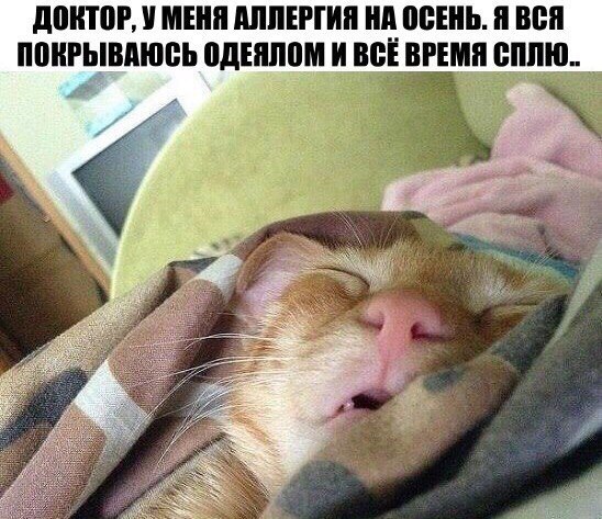    - 3  2017  11:15