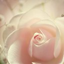  Ann Ann,  -  25  2017    