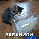 ���� �����, ������ - ��������� 3 ������� 2017 � ������ ������ ��������