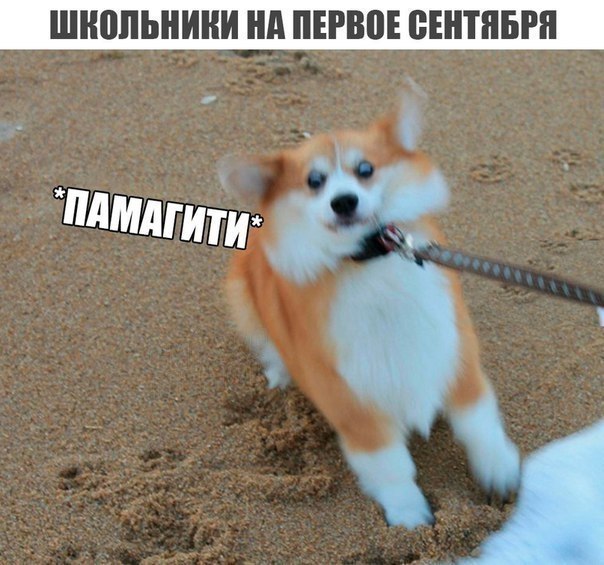    :D - 27  2017  14:06