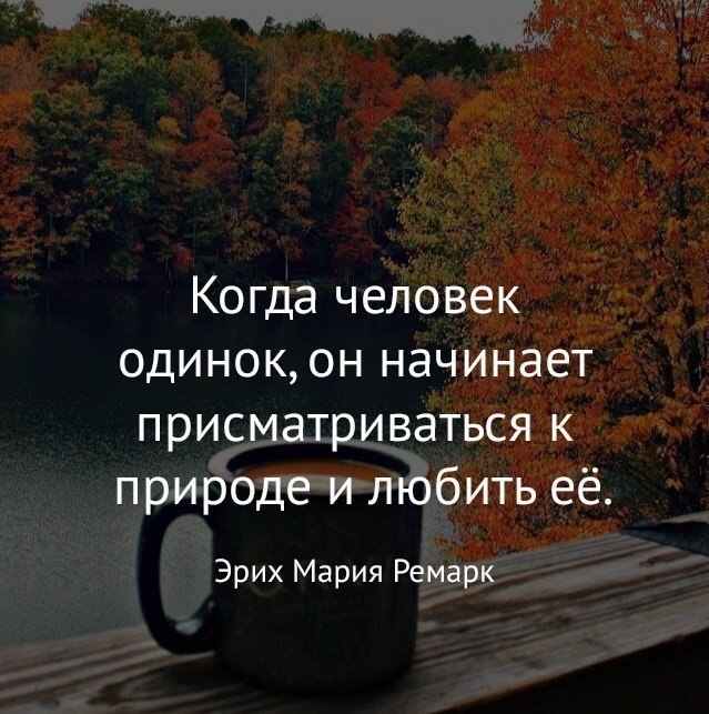   - 6  2017  03:47
