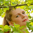 ���� ��������, ��������, 53 ���� - ��������� 21 ������� 2017 � ������ ���� ����������