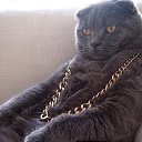 ���� �����, ���� - ��������� 25 ������� 2017 � ������ ���� ����������