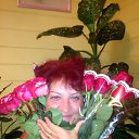  , -, 64  -  13  2017