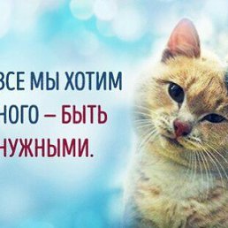 �������, ������, 40 ���