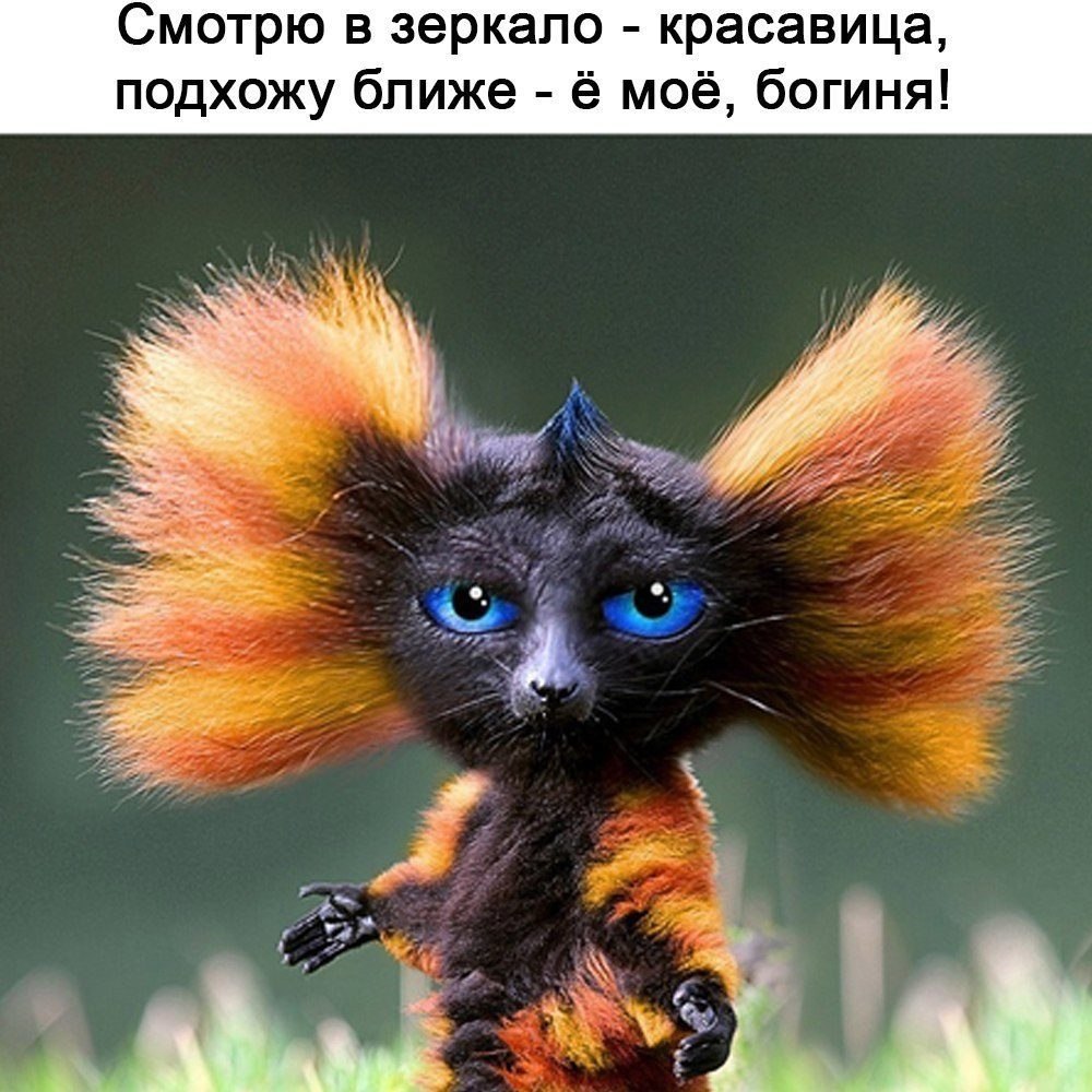   - 9  2017  22:00