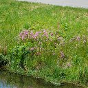 ���� �����, �����, 64 ���� - ��������� 10 ���� 2017 � ������ �� ��� - ��������!!!)))�