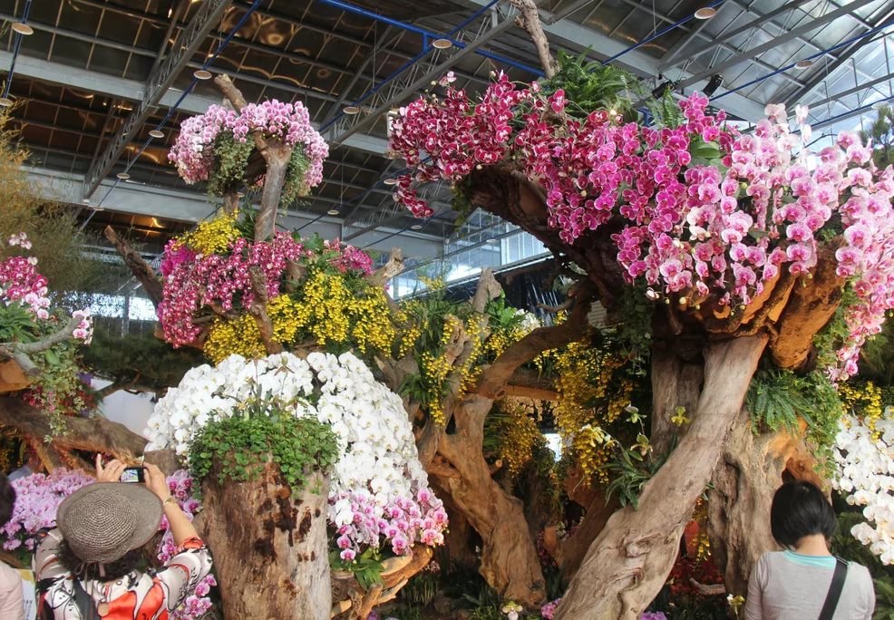 The National Orchid Garden (   )    1859 .   ... - 3