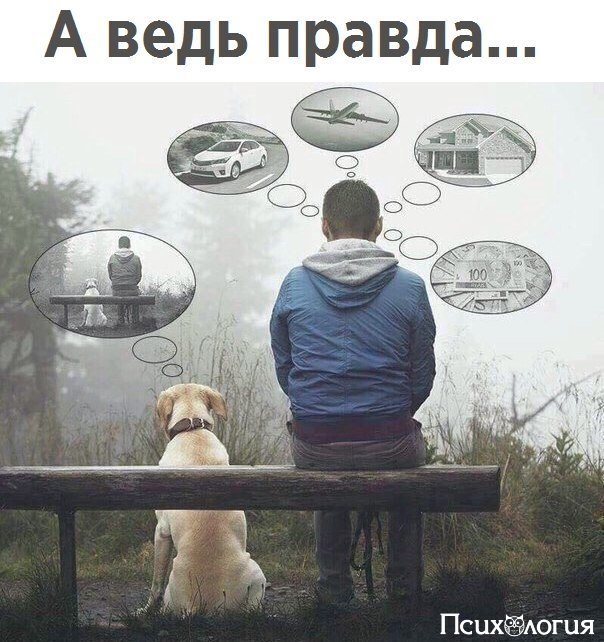  - 25  2017  21:36