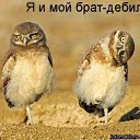 ���� �������, ������ - ��������� 17 ������� 2017 � ������ ���� ����������