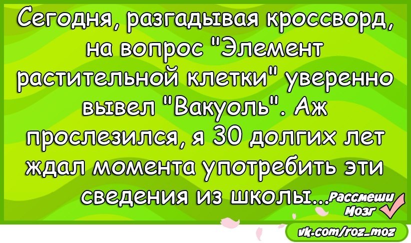  - 10  2017  12:11