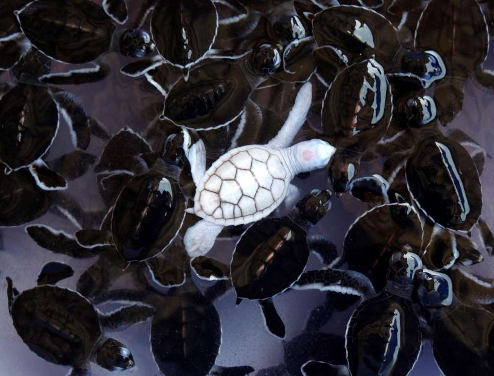  Reuters     -   