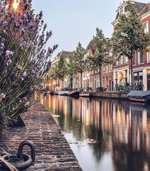 Netherlands - 10