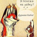 ,  -  24  2017    