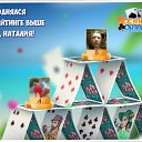 ���� ������, �����-���������, 65 ��� - ��������� 12 ��� 2017 � ������ �������� �������-�������