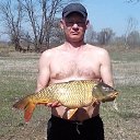 ���� �����, ���������� �����, 52 ���� - ��������� 2 ��� 2017 � ������ ���� ����������