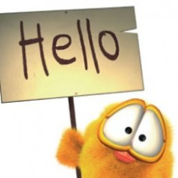 ���� �, ������, 53 ���� - ��������� 26 �������� 2017