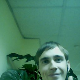 ����, �����-���������, 36 ���