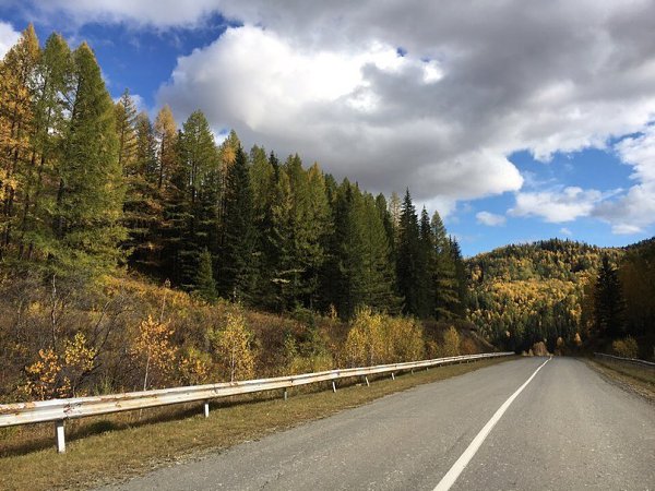   -      .   -    ... - 2