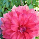 ���� ������, ������� - ��������� 1 ������� 2017 � ������ ������ ��������