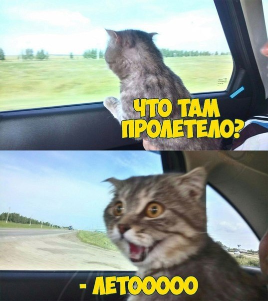   - 6  2017  12:48