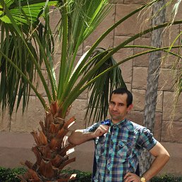 ���� ������, ��������, 49 ��� - ��������� 7 ������� 2017