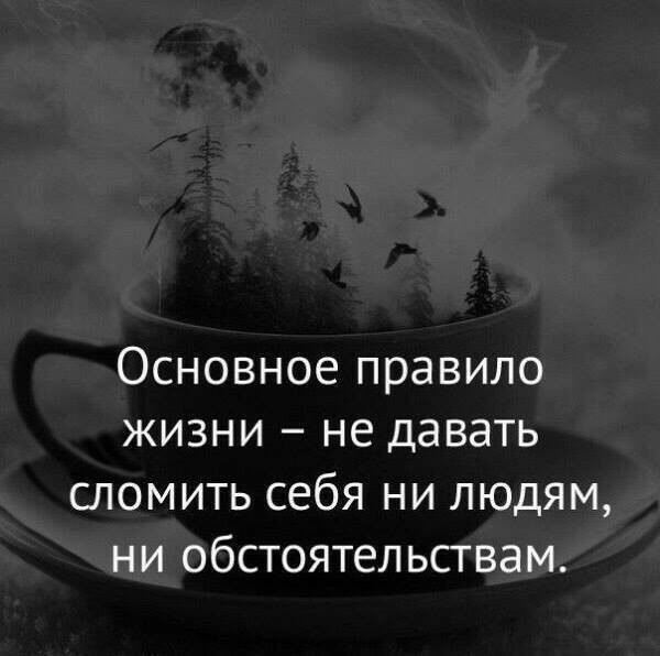 Dzestina - 15  2017  03:56