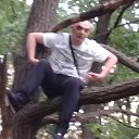 ���� �������, �������, 38 ��� - ��������� 8 �������� 2017 � ������ ��� ������