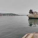  , , 51  -  29  2017    2017