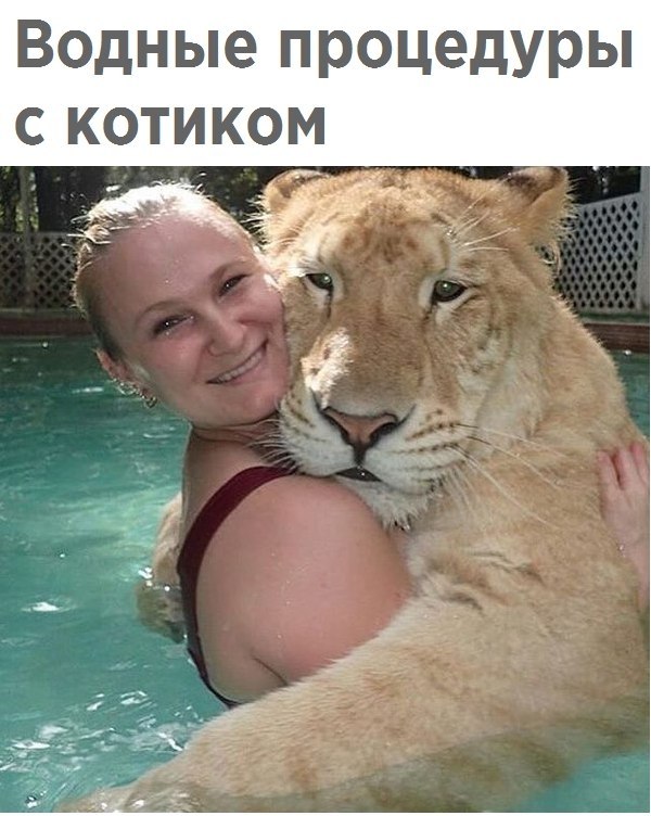  Just Business - 23  2017  03:22