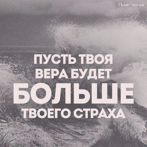  - 11  2017  13:03