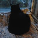  Elenka))) 219,  -  14  2017    -  .