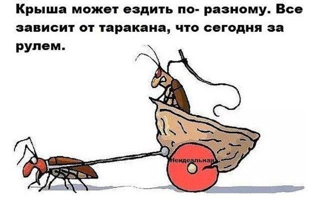    - 7  2017  23:41