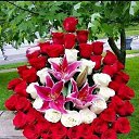  Ann Ann,  -  7  2017    