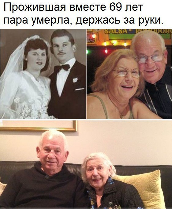   :    - 28  2017  17:23