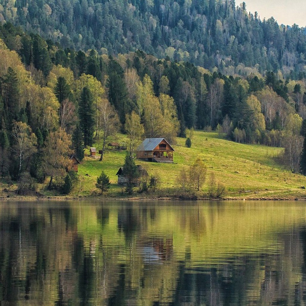 Алтай Фото Природа Домик В Лесу