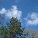 ���� ��������, ������� - ��������� 22 ��� 2017 � ������ ���� ����������