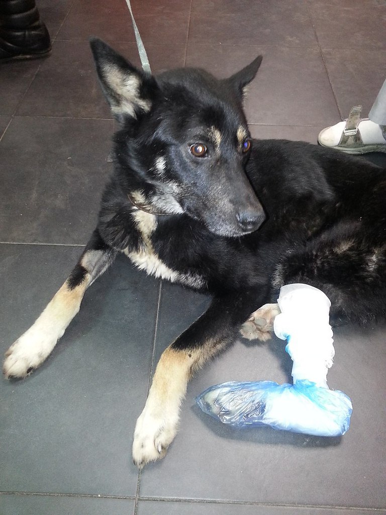 -  .   !   ,   ,   ,  ... - 3