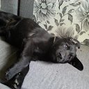 ���� ��������, ������������ - ��������� 24 ���� 2017 � ������ ������ ��������