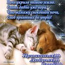 ���� ������, ����, 53 ���� - ��������� 11 ������ 2017 � ������ ���� ����������