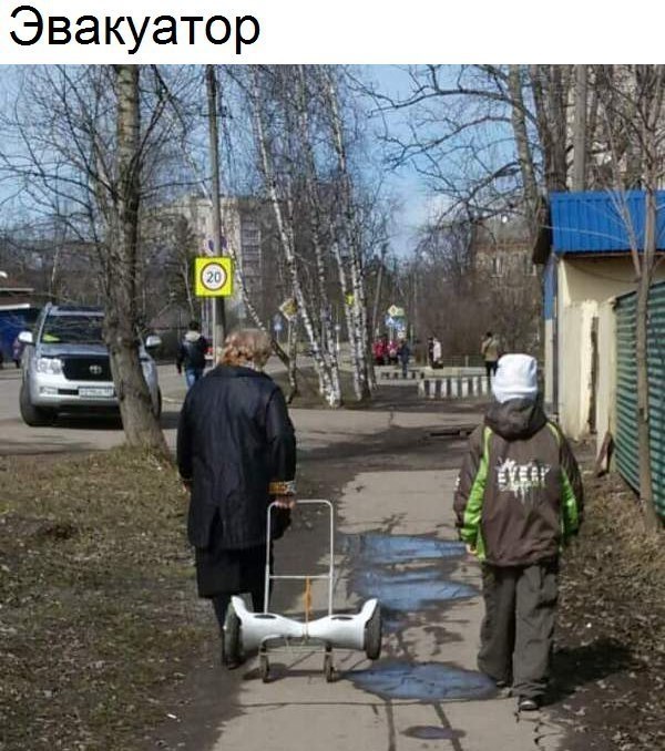  - 1  2017  03:31