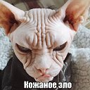 ���� ������, ����, 52 ���� - ��������� 24 ������ 2017 � ������ ���� ����������