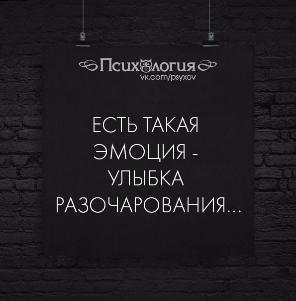   ()-------> - 22  2017  16:03