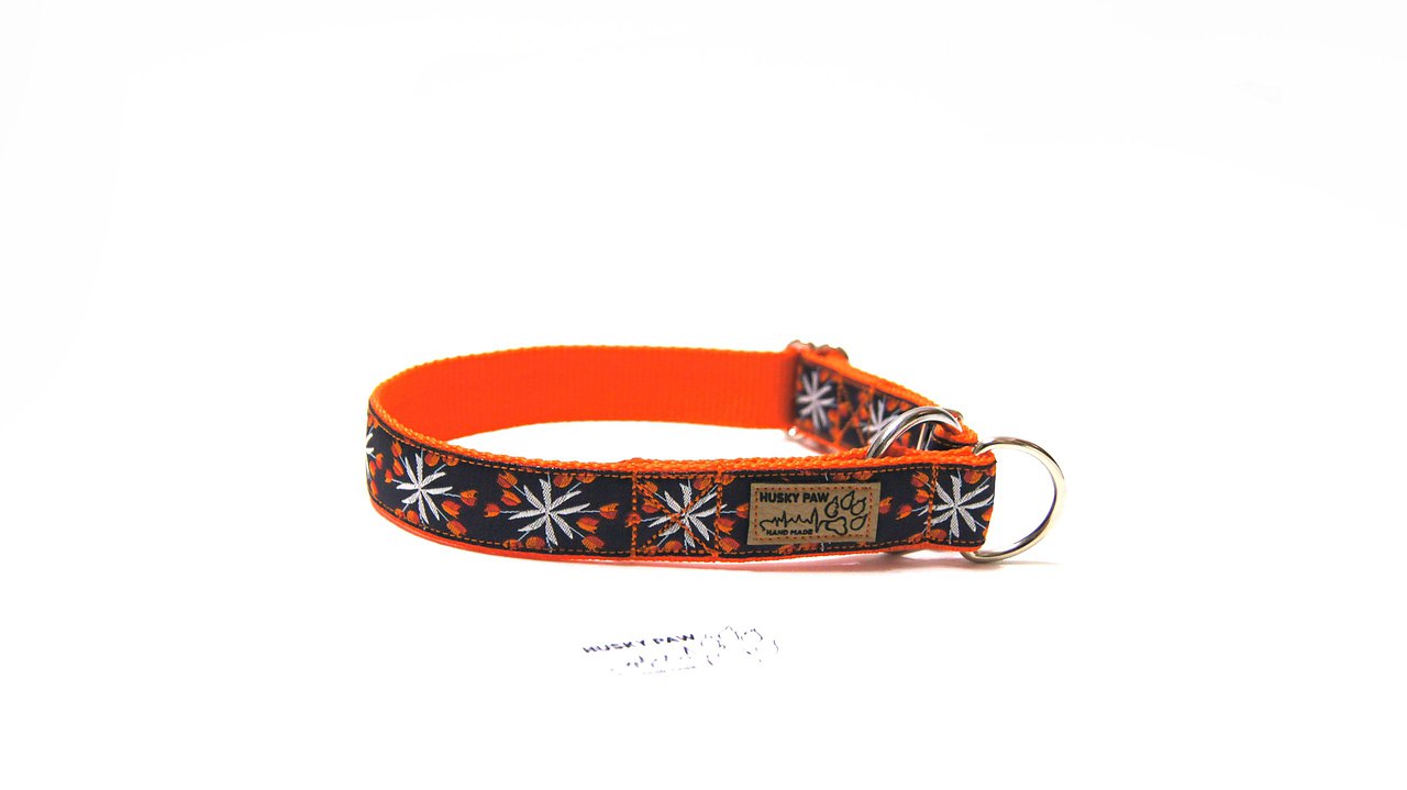 Мастерская HuskyPaw - представляет эксклюзивную амуницию для ваших любимцев.У нас вы можете сделать ... - 2