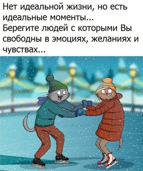    - 11  2017  20:37
