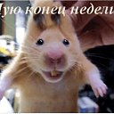 ���� �����, ������ - ��������� 15 ������� 2017 � ������ ���� ����������