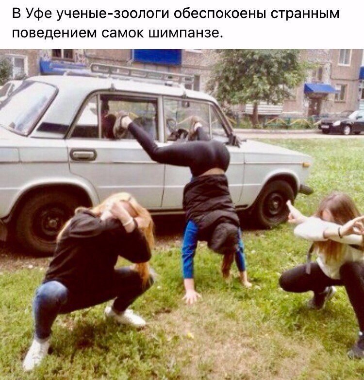  - 11  2017  10:10